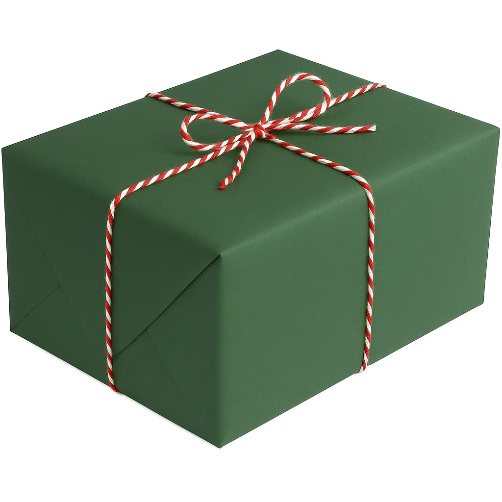 holiday gift wrap.png